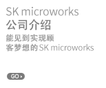 SK microworks 公司介绍