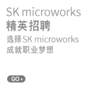 SK microworks 精英招聘